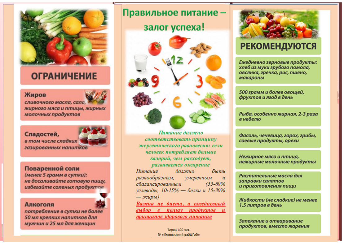 Буклет Правильное Питание Залог Здоровья — Похудение Диета Правильное