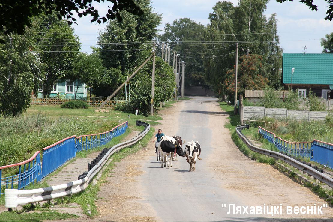 Святица ляховичский район фото